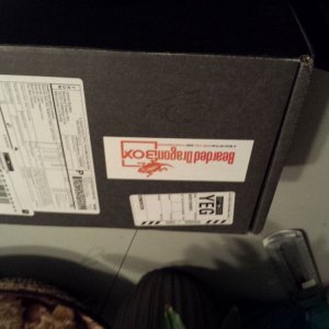 86279-3798548970.jpg