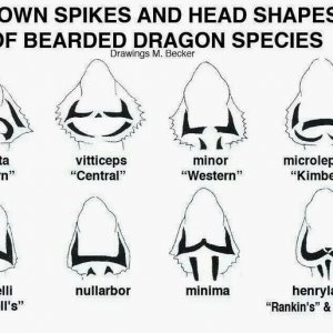 86279-9693800476.jpg