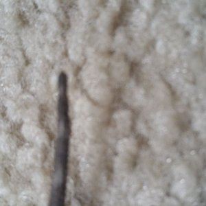 87507-6259915917.jpg