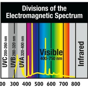 88641-6168060293.jpg