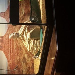 89083-6642892919.jpg