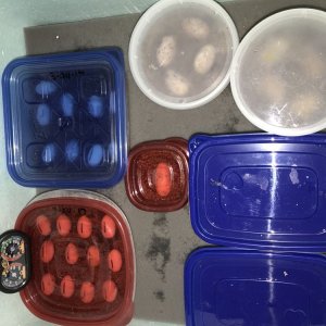 91519-4969610400.jpg