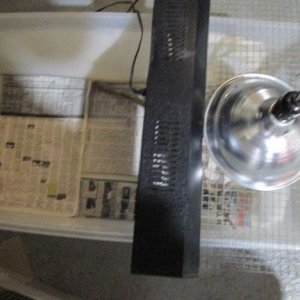97951-1320896047.jpg