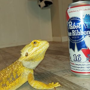 Cheech and PBR