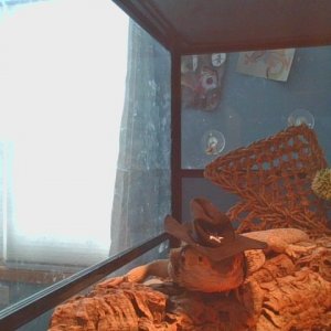 IMG_20221119_105420.jpg