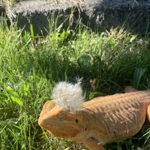 IMG_8593.jpeg
