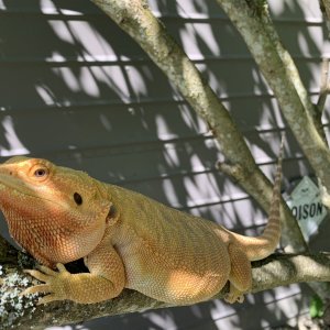 IMG_9019.jpeg