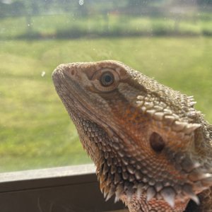 0F286300-2430-4476-A448-3ED850F084A3.jpeg