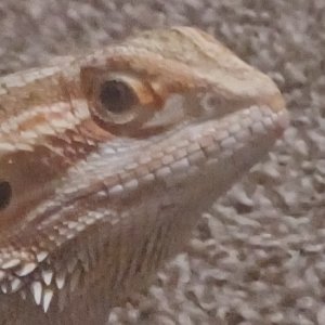 20230816_195127.jpg