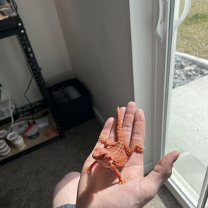 IMG_7006.jpeg