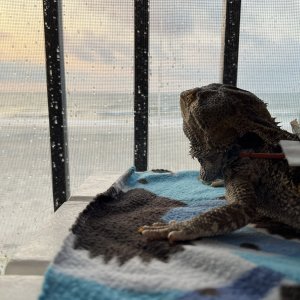 IMG_7470.jpeg