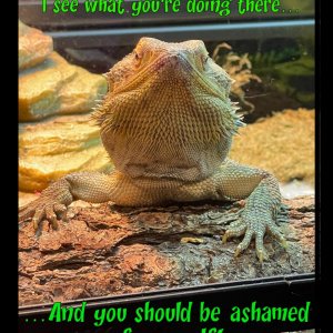 I see what you are doing.JPEG