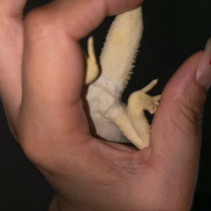 image0 (5).jpeg