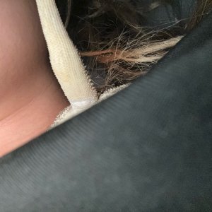 image2 (4).jpeg