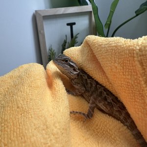 IMG_6261.jpeg