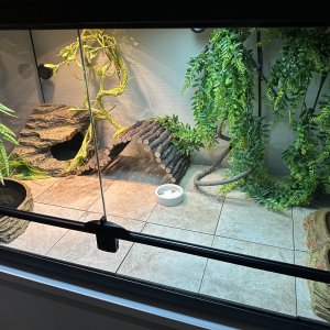 IMG_6301.jpeg