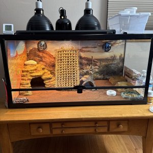 IMG_7109.jpeg