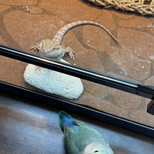 IMG_7441.jpeg