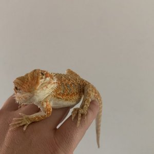 IMG_1401.jpeg