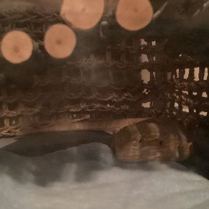 image0 (2).jpeg