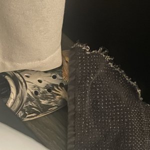 IMG_2327.jpeg