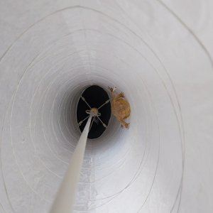 taco_in_lamp2.jpg