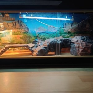 1604934403.jpg