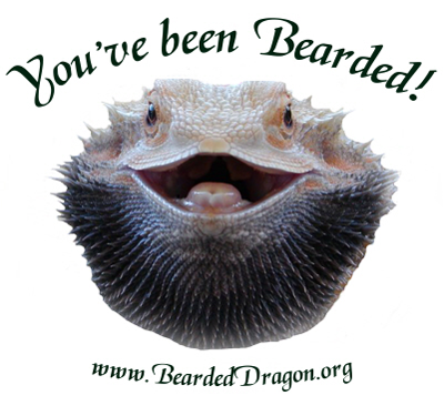 Bearded-Image.png