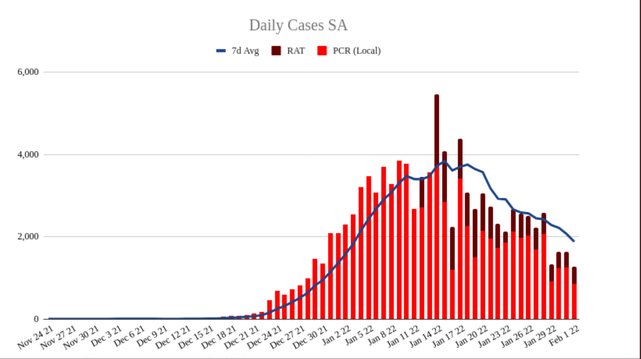 1feb2022-DAILY-LOCAL-CASES-SA.png