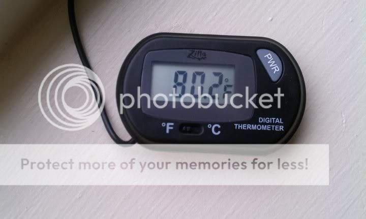 Budscoolsidethermometer.jpg