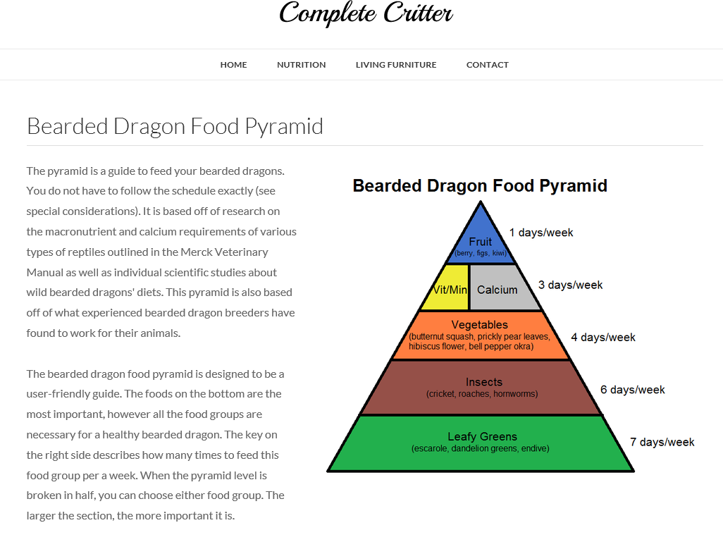 beardie_food_pyramid.png