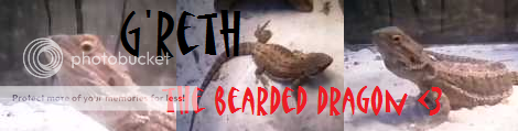 greth_the_bearded_dragon_by_kitrei_sirto-d4kbvra.png