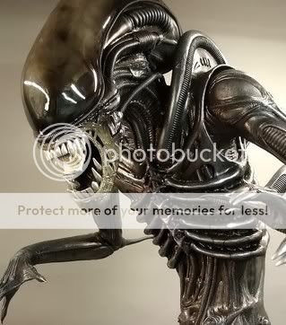 alienmodel.jpg