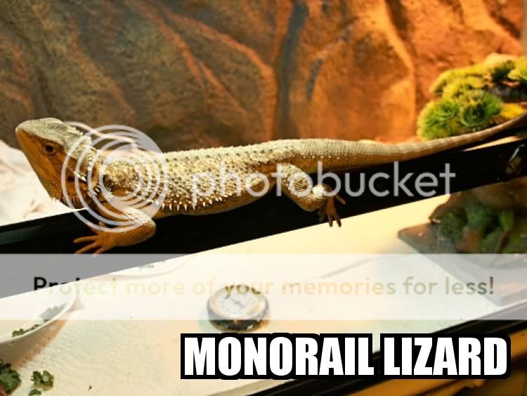 monoraillizard.jpg
