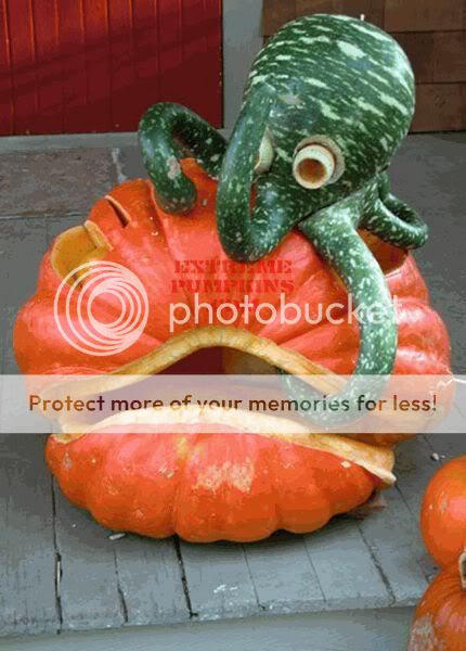 pumpkin4.jpg