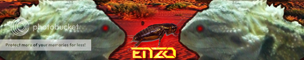 Enzo_Banner.png