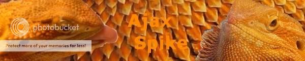 Ajax_Spike_Banner.jpg