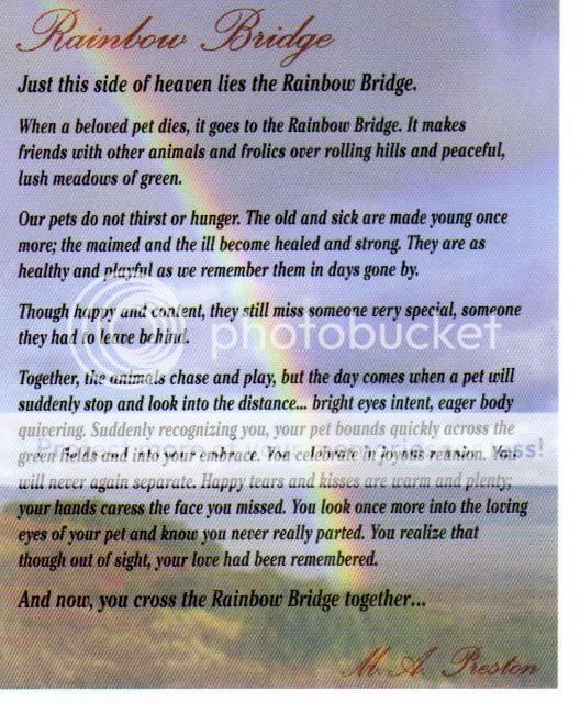 rainbowbridge2.jpg