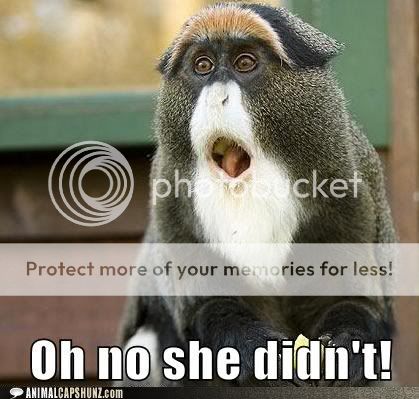 funny-animal-captions-oh-no-she-didnt.jpg