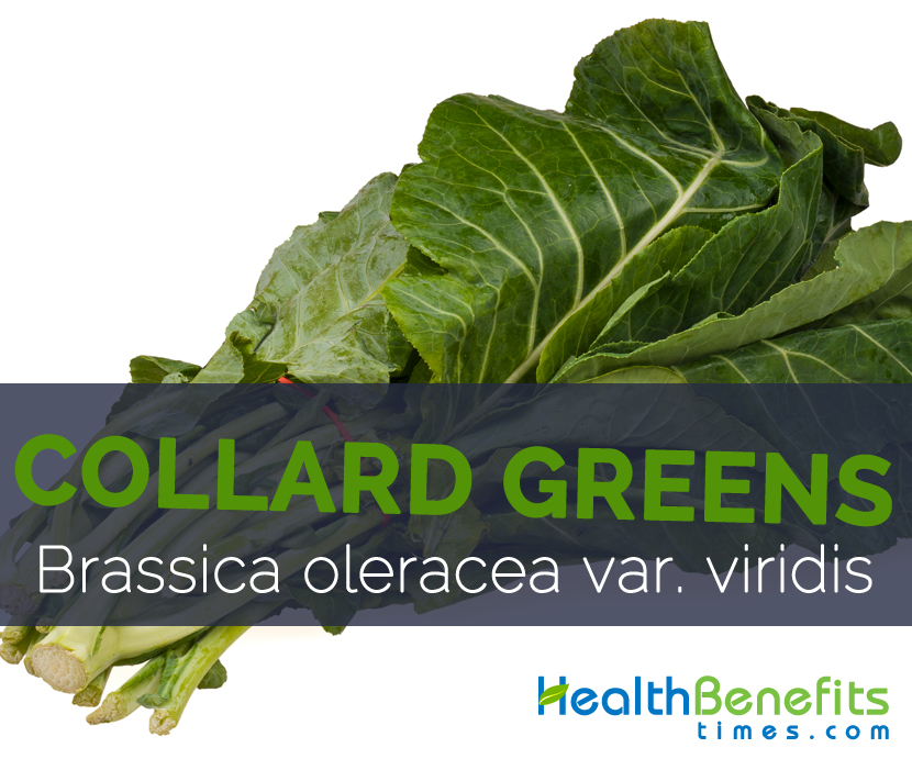 Collard-Greens-Brassica-oleracea-var.-viridis.jpg