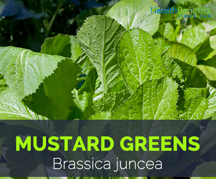 Mustard-greens-health-benefits.jpg