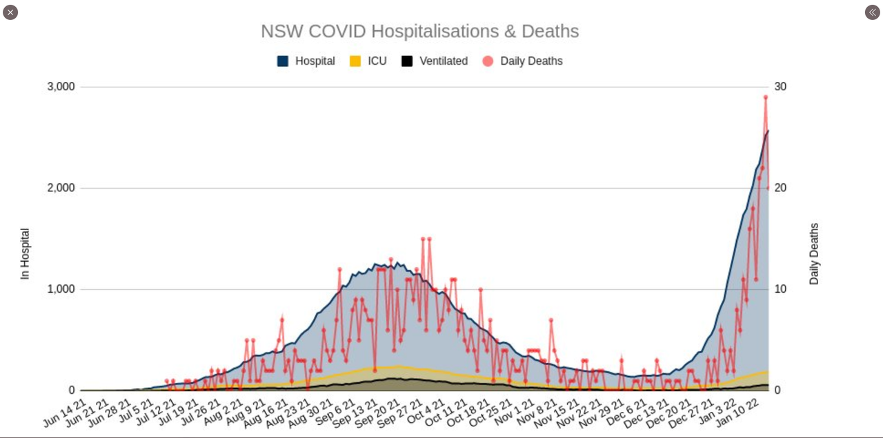 15jan2022-hospitalizations-and-deaths-NSW.png
