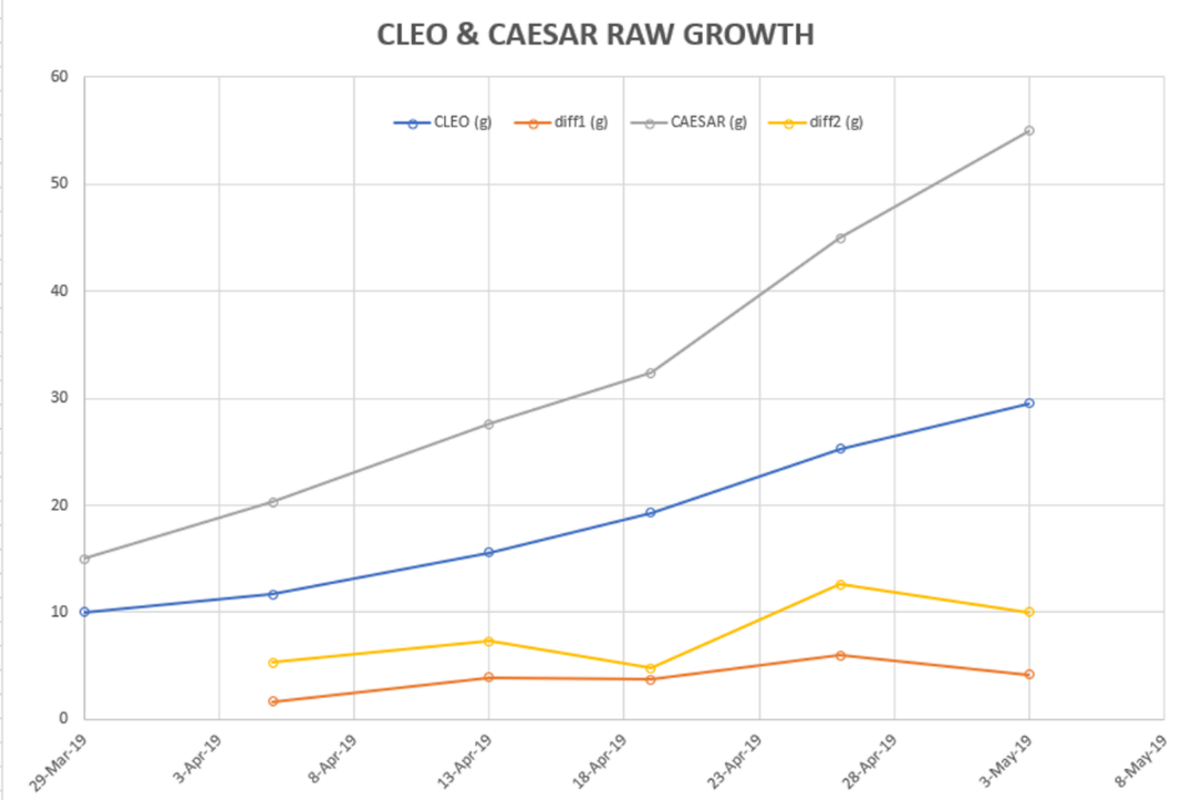 caesar-and-cleopatra-growth-chart-A-first-5-weeks-with-us-3may2.png