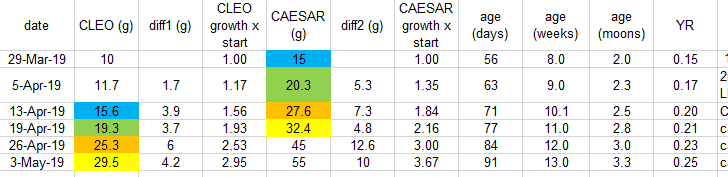 caesar-and-cleopatra-growth-data-first-5-weeks-with-us-3may2019.png