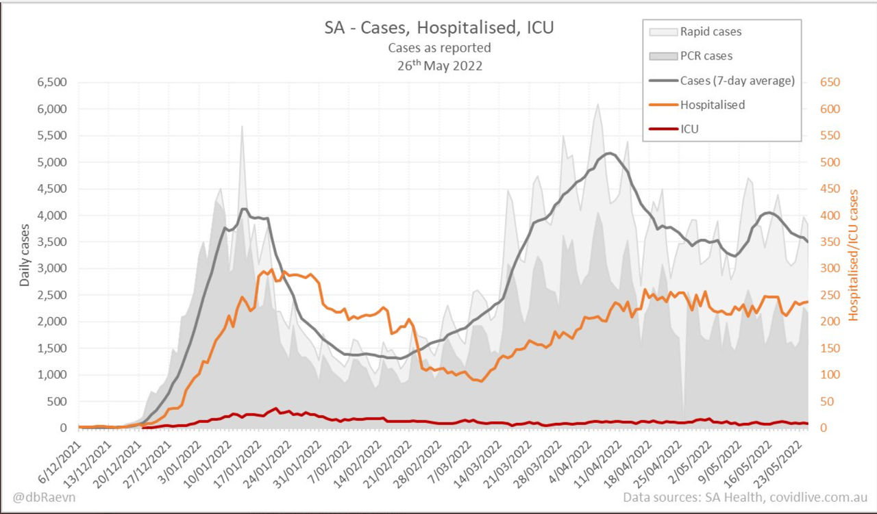 26may2022-DAILY-HOSPITALISATION-ICU-AND-CASES-DAILY-RUN-CHART-SA.png