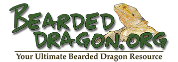 Bearded Dragon .org