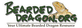 BeardedDragon.org