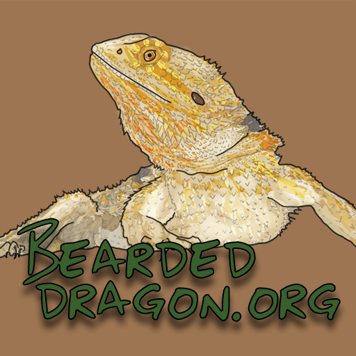 Reptile Care Sheets - Bearded Dragon Basics –